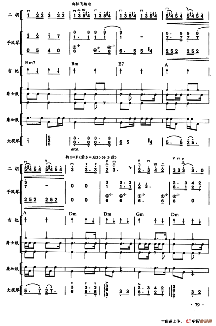 哈瓦那之夜?古巴（二胡、手风琴、吉他和弦击乐组合）