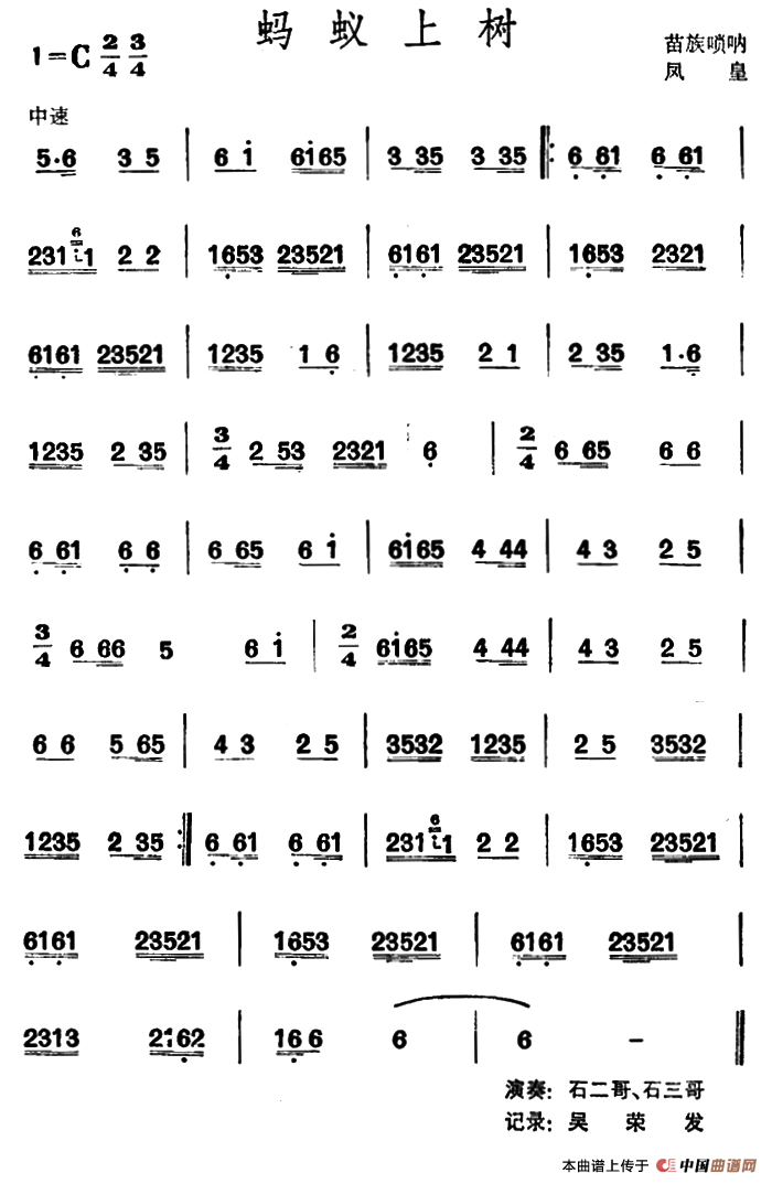 蚂蚁上树 （苗族唢呐）