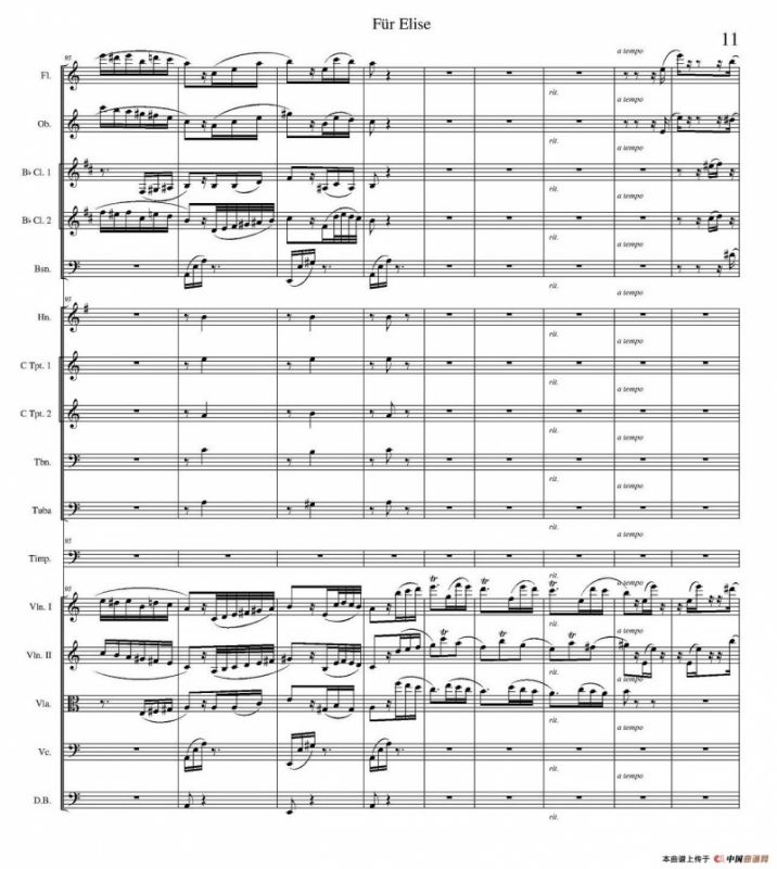 致爱丽丝（管弦乐总谱）