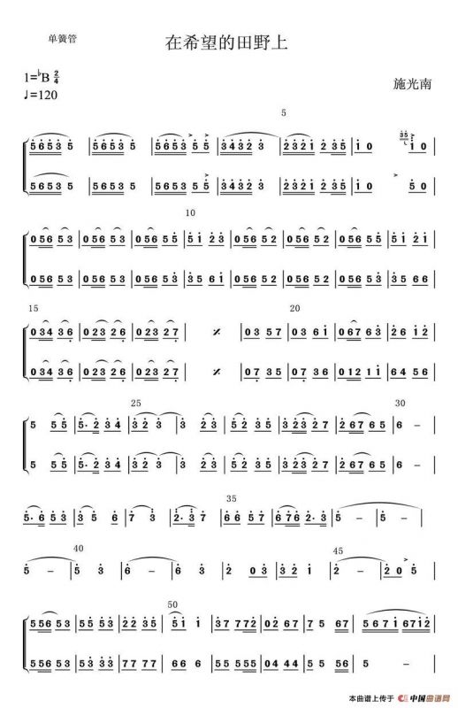 在希望的田野上（单簧管）