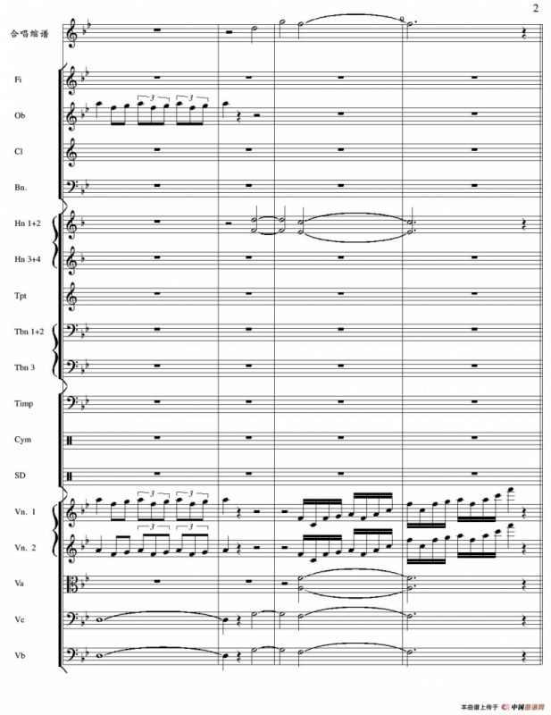 在希望的田野上 （管弦乐总谱）