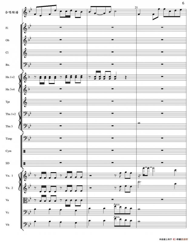 在希望的田野上 （管弦乐总谱）