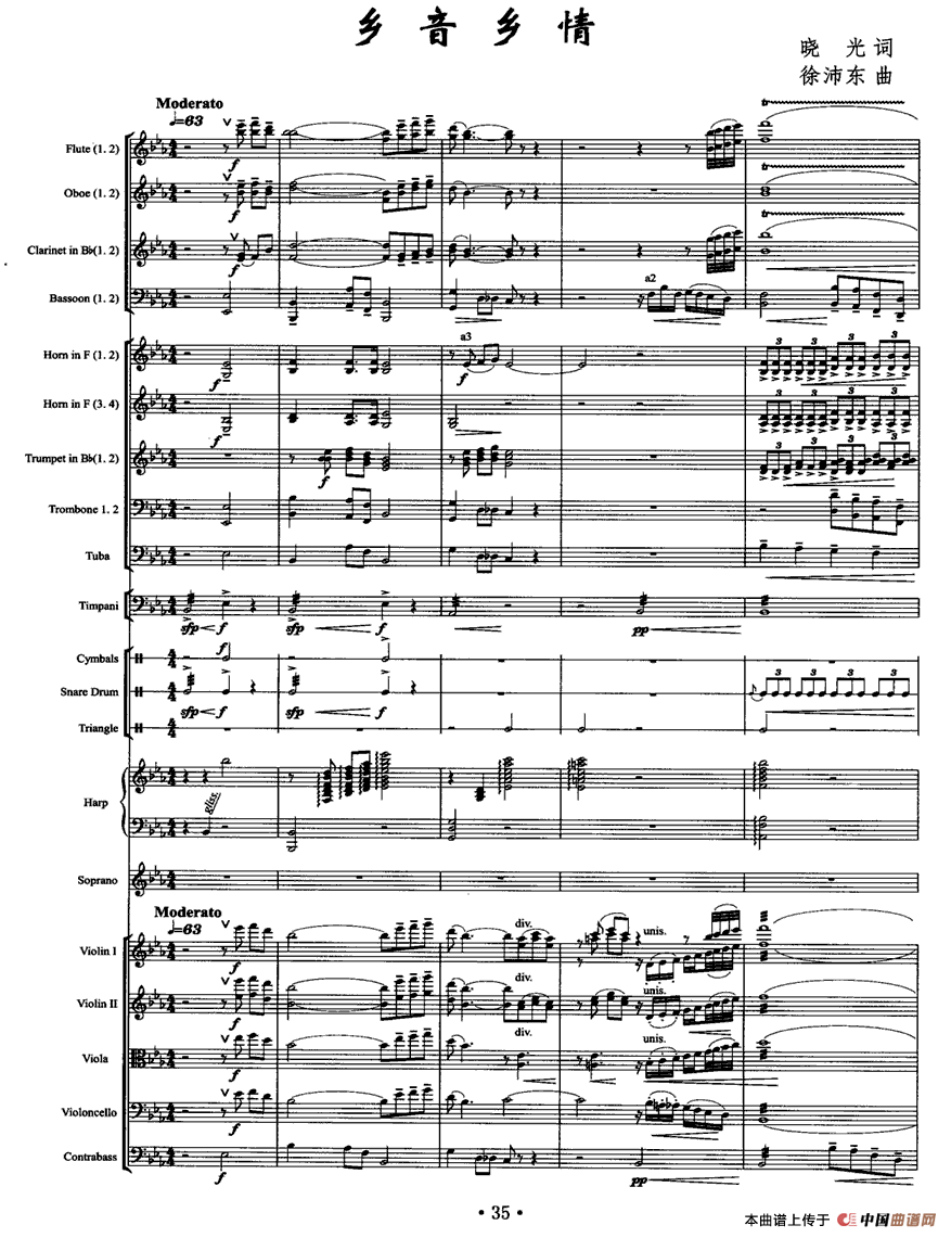 乡音乡情（独唱+乐队伴奏总谱）