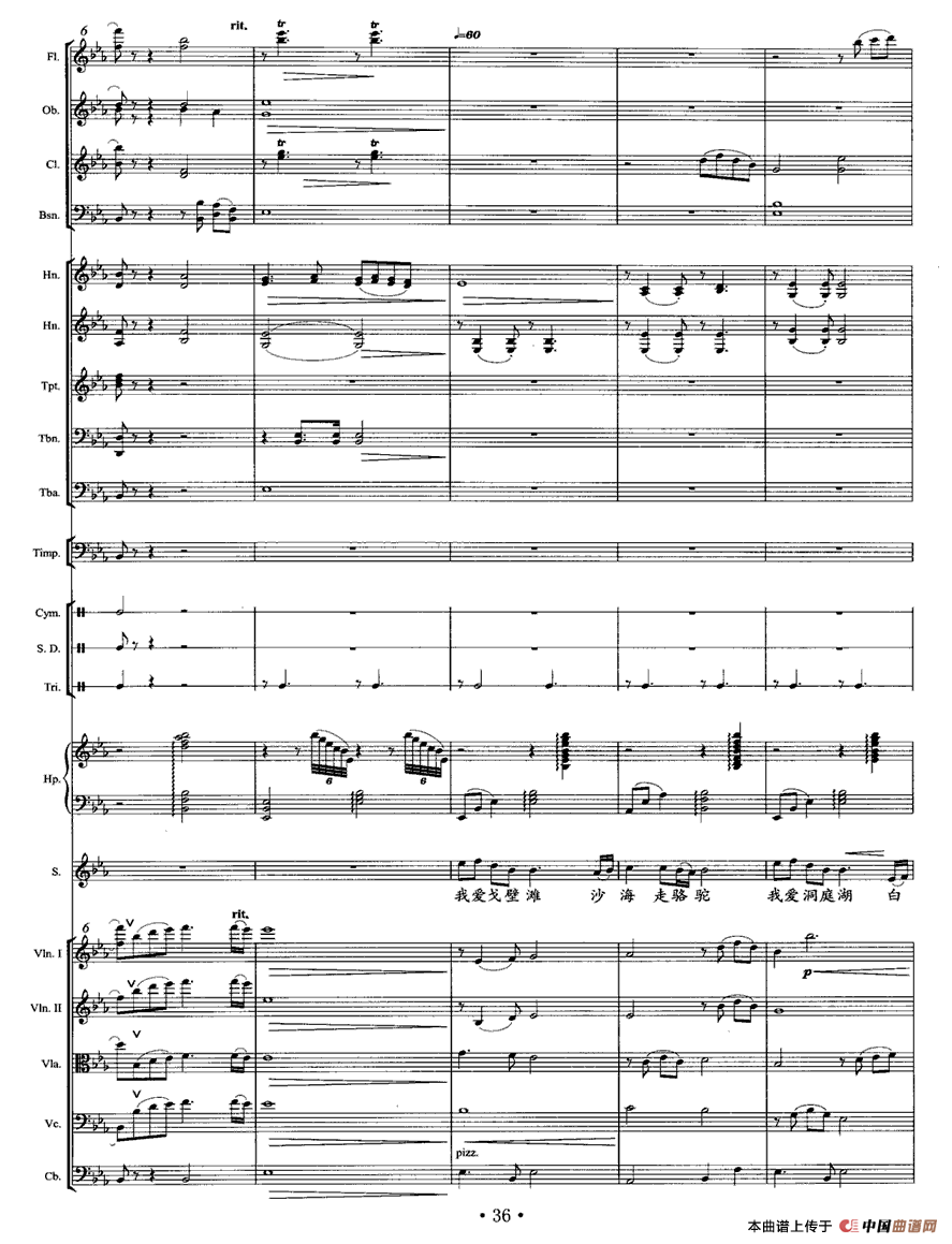 乡音乡情（独唱+乐队伴奏总谱）