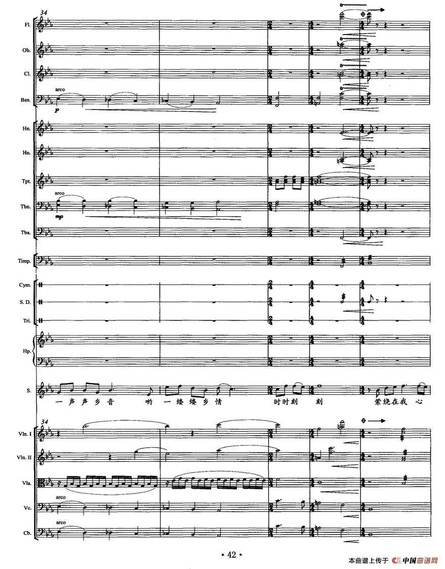 乡音乡情（独唱+乐队伴奏总谱）