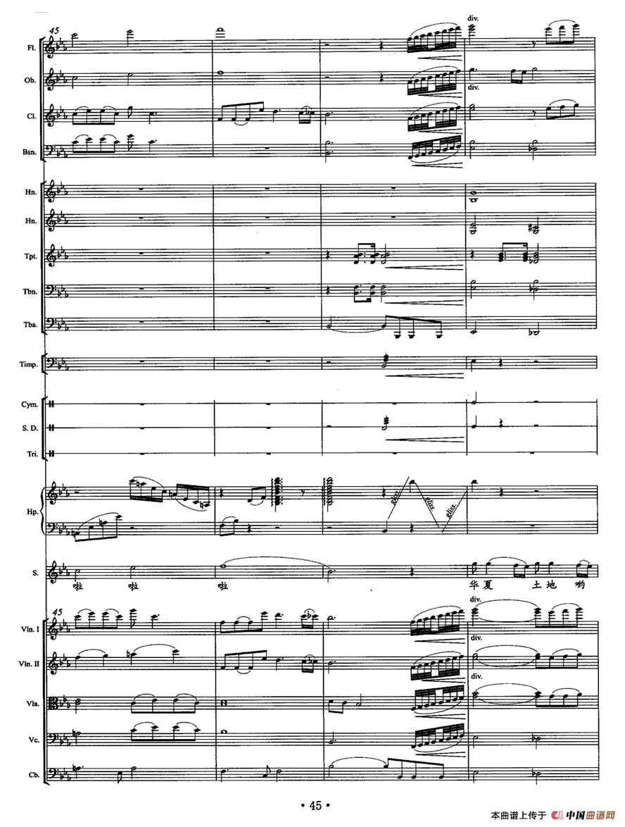 乡音乡情（独唱+乐队伴奏总谱）