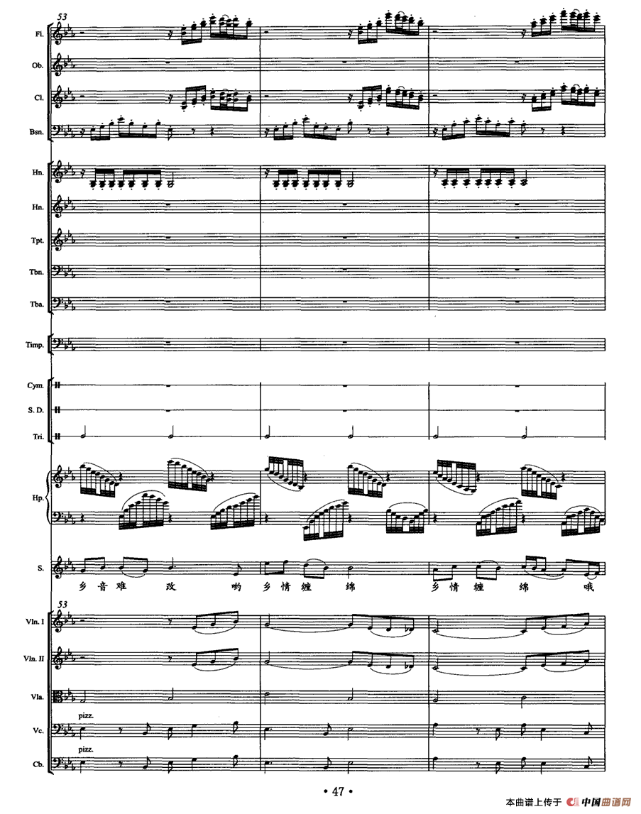 乡音乡情（独唱+乐队伴奏总谱）