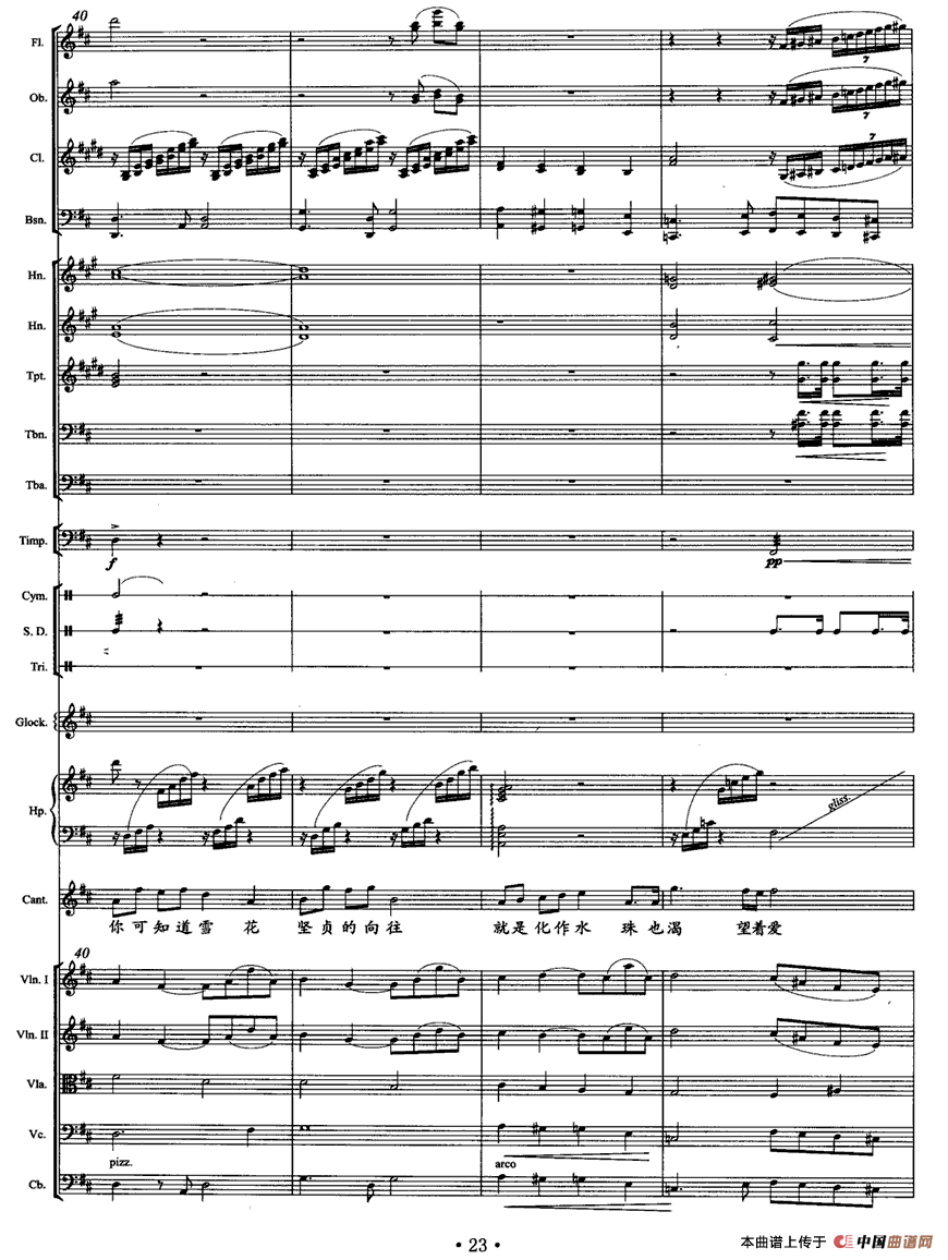 我像雪花天上来（独唱+乐队伴奏总谱）