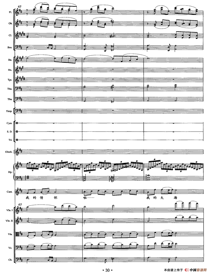 我像雪花天上来（独唱+乐队伴奏总谱）