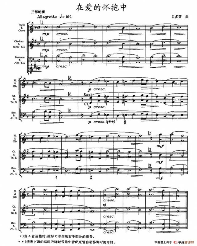 在爱的怀抱中（木管乐器三部轮奏）