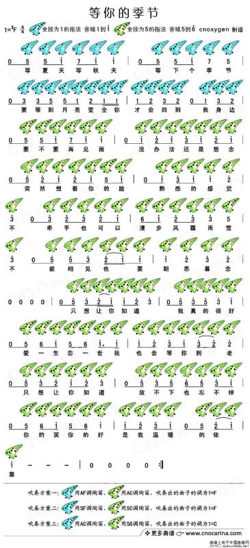 等你的季节（电视剧《步步惊心》插曲 [陶笛谱]）