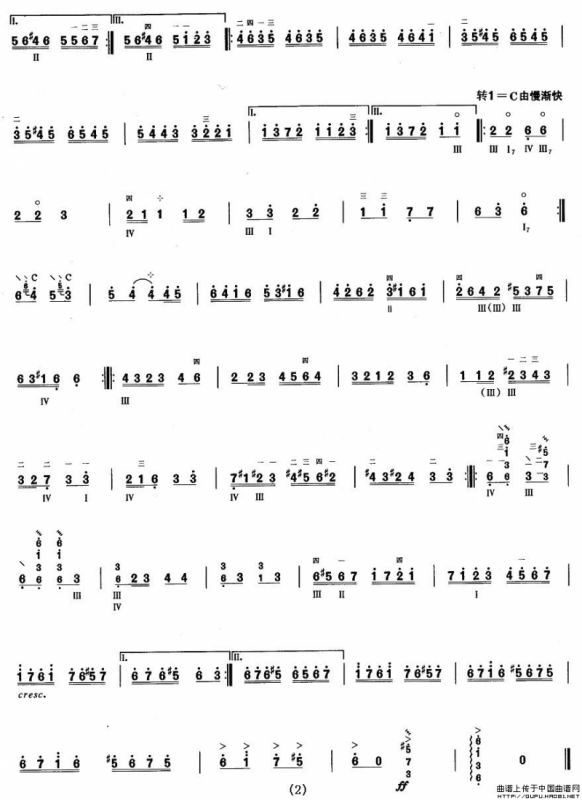 柳琴考级曲目九级：流浪者之歌（片段）