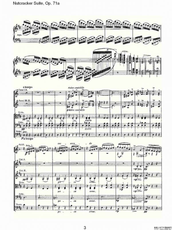 Nutcracker Suite, Op.71a（胡桃夹套曲，Op.71a 第八章）
