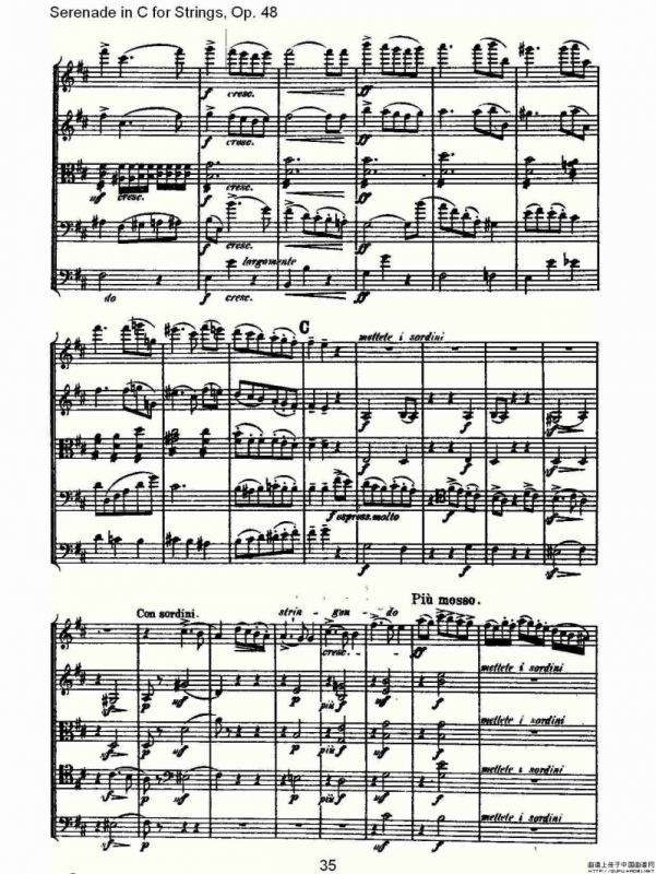 Serenade in C for Strings, Op.48 C调弦乐小夜曲，Op.48（二）