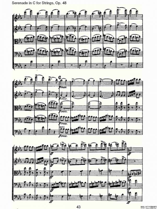 Serenade in C for Strings, Op.48 C调弦乐小夜曲，Op.48（二）