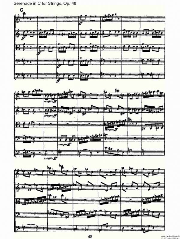 Serenade in C for Strings, Op.48 C调弦乐小夜曲，Op.48（二）