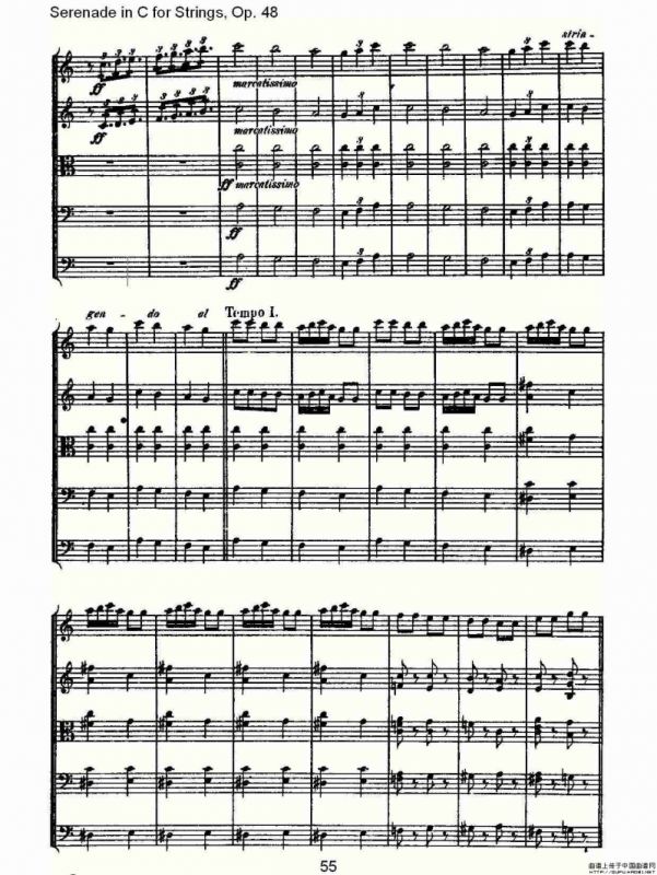 Serenade in C for Strings, Op.48 C调弦乐小夜曲，Op.48（二）