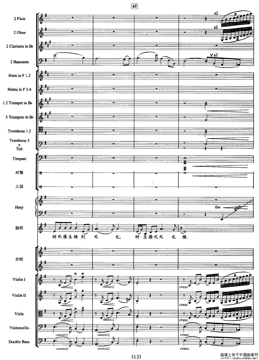 见妹一眼酥到脚（五线谱+管弦乐总谱）