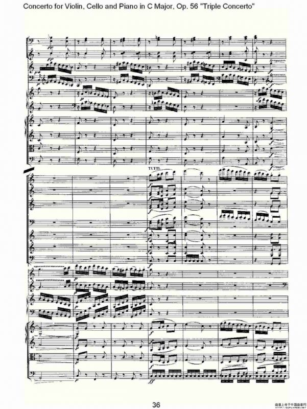 C大调大提琴与钢琴协奏曲 Op.56第三乐章（二）