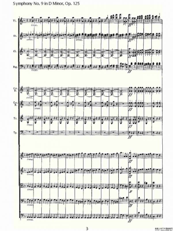 D小调第九交响曲 Op.125第二乐章