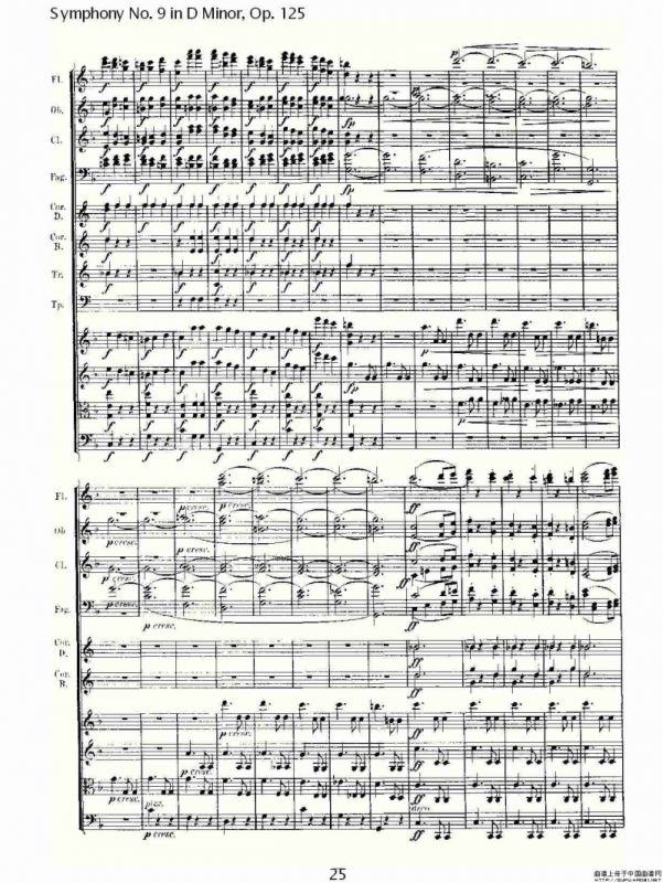 D小调第九交响曲 Op.125第二乐章