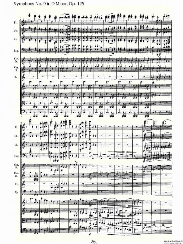 D小调第九交响曲 Op.125第二乐章