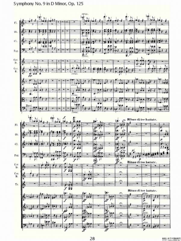 D小调第九交响曲 Op.125第二乐章
