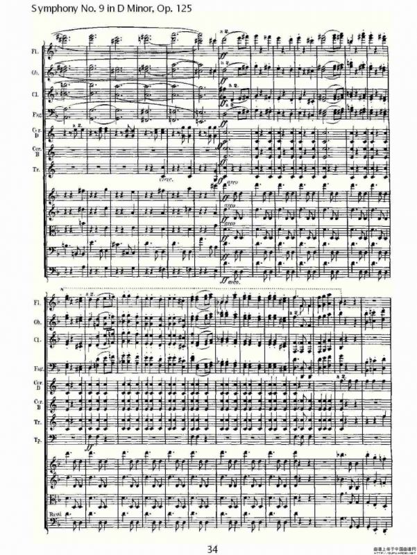D小调第九交响曲 Op.125第二乐章