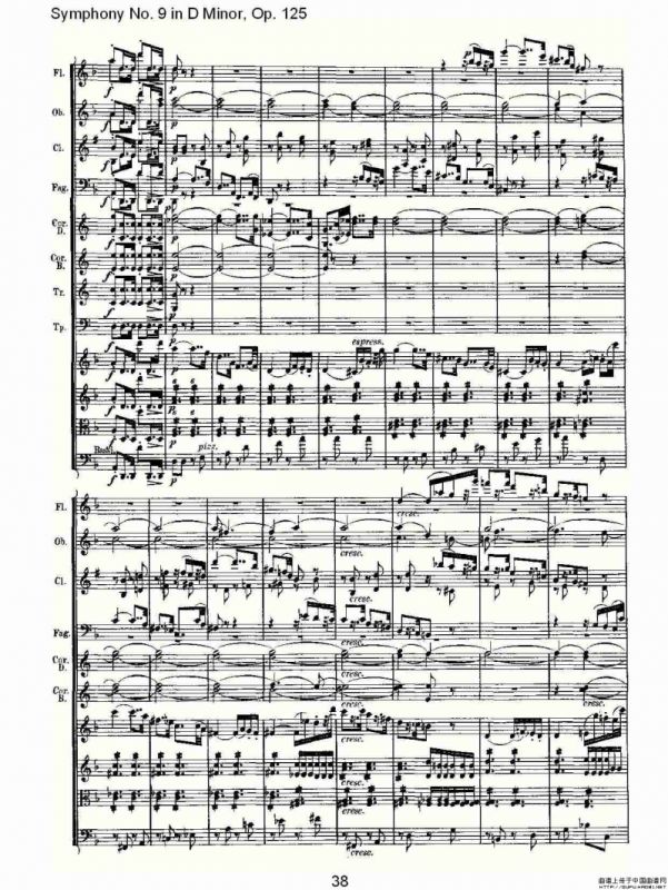 D小调第九交响曲 Op.125第一乐章（二）