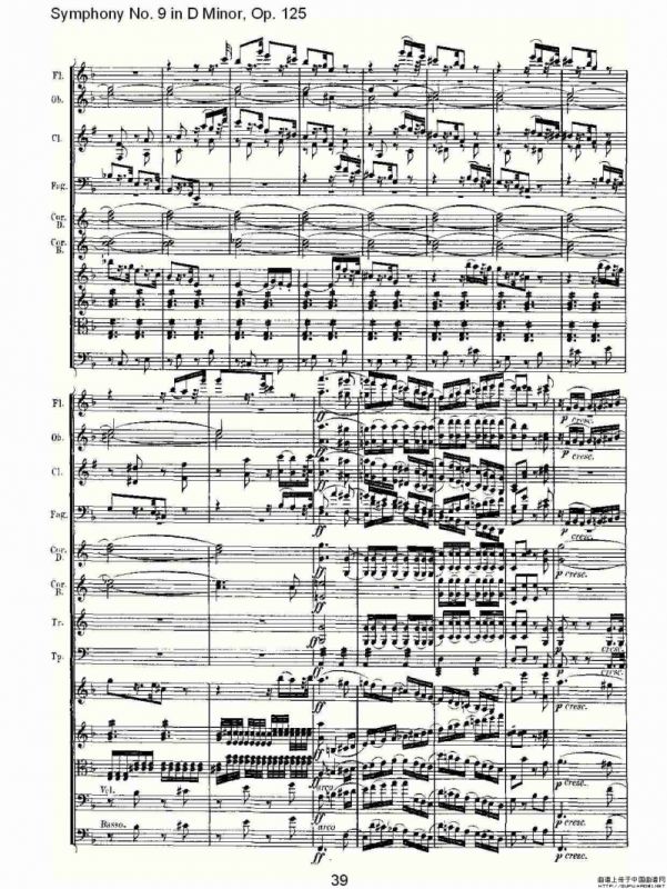 D小调第九交响曲 Op.125第一乐章（二）
