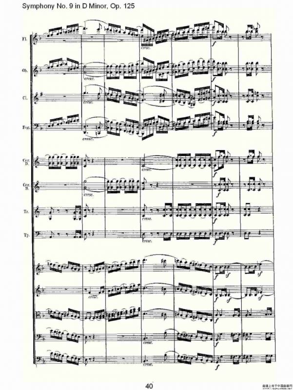 D小调第九交响曲 Op.125第一乐章（二）