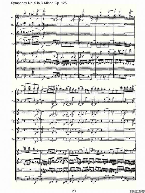D小调第九交响曲 Op.125第一乐章（一）