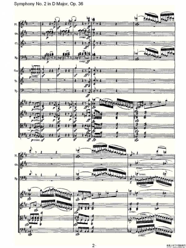 Symphony No. 2 in D Major, Op. 36（D大调第二交响曲 Op. 3）