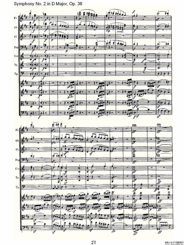 Symphony No. 2 in D Major, Op. 36（D大调第二交响曲 Op. 3）