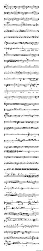 天乐（唢呐协奏曲）