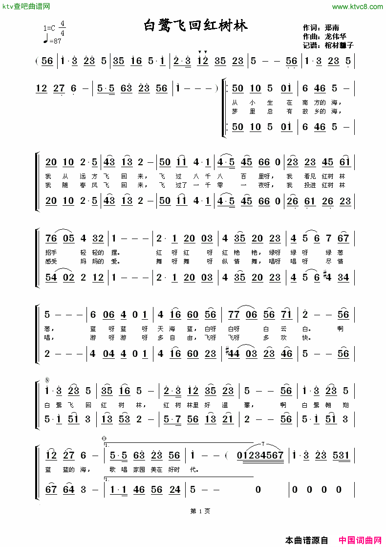 白鹭飞回红树林