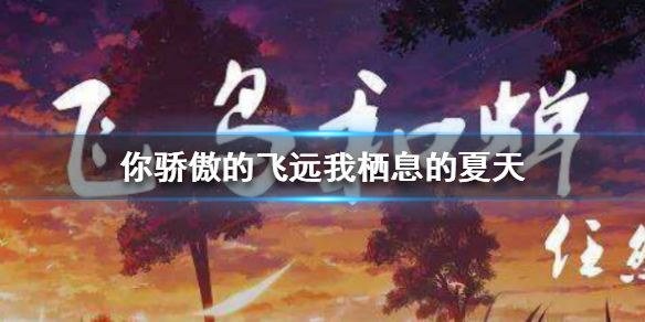 你骄傲的飞远我栖息的夏天是什么歌