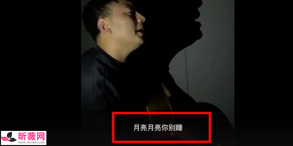 月亮月亮你别睡是什么歌的歌词