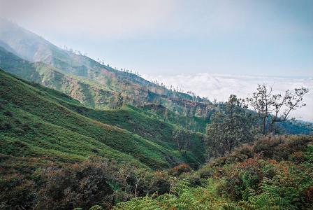 比山高半山腰是什么歌