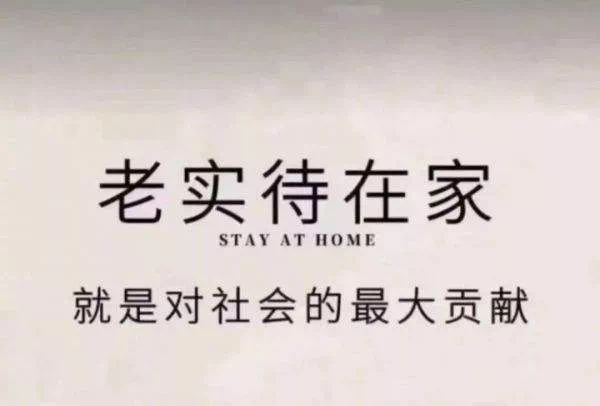 我拼了命的想念你是什么歌