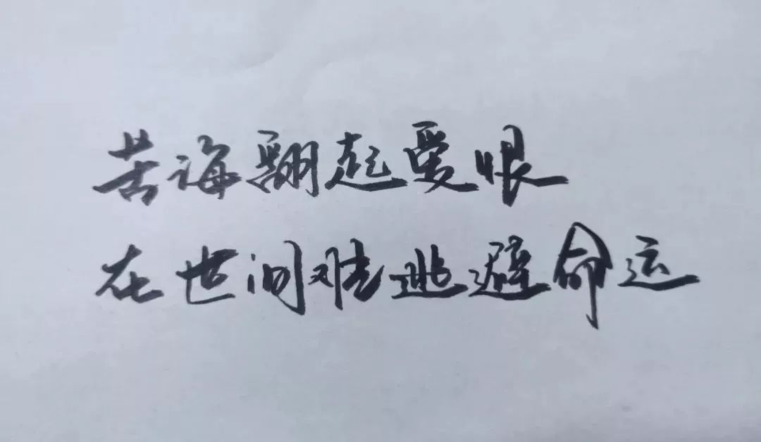 苦海翻起爱恨是什么歌
