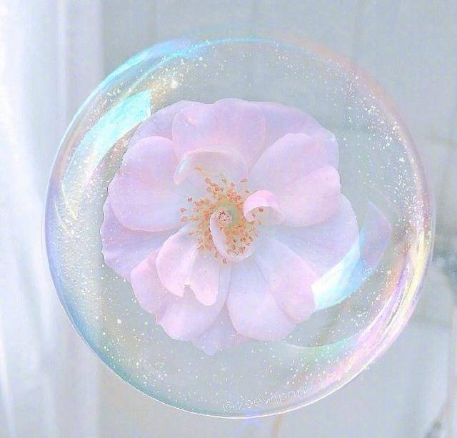 如果时光真的真的能够倒流是什么歌