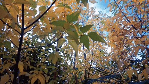 像风吹过八千里是什么歌