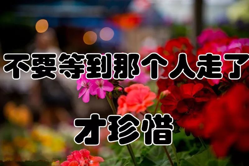 呼唤我的心上人是什么歌