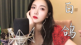 教堂的白鸽不会亲吻乌鸦是什么歌