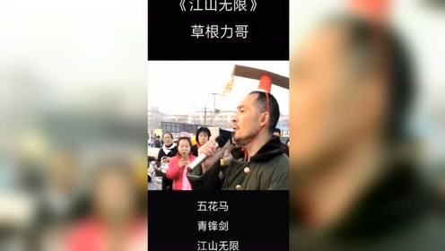 五花马,青锋剑,江山无限是什么歌