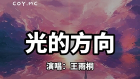寻找光的方向把你遗忘是什么歌