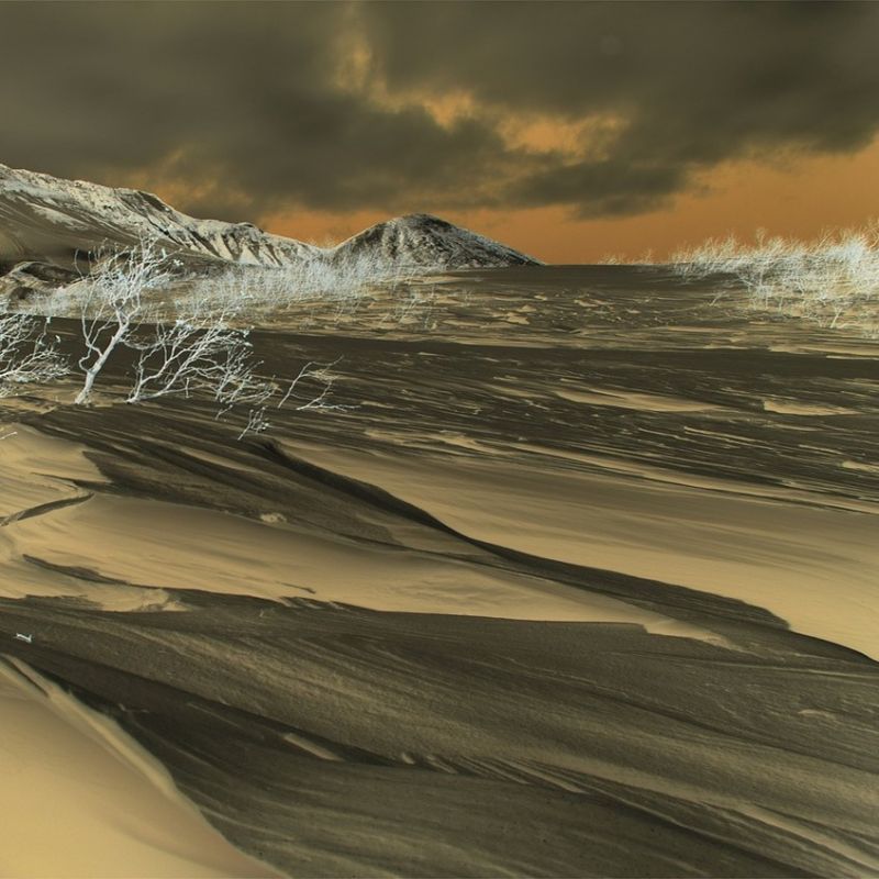 慢慢体会黑夜孤独是什么歌