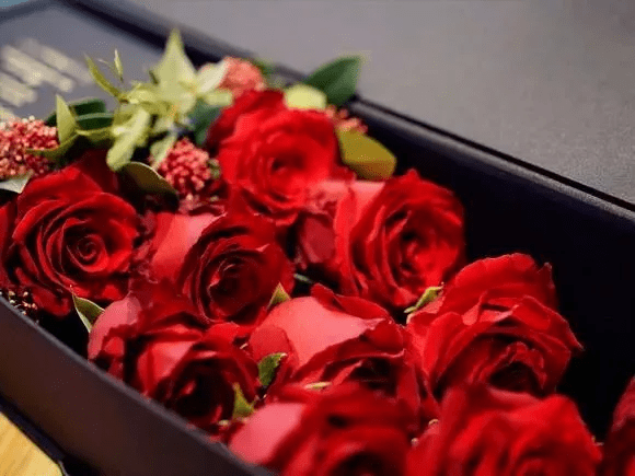 我们的照片记录幸福到永远什么歌