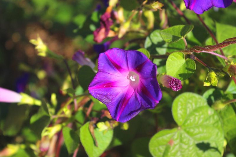 曾经心痛为何变成陌生是什么歌